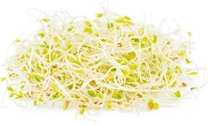 Alfalfa Sprouts - Chev2Home