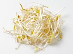 Bean Sprouts - Chev2Home