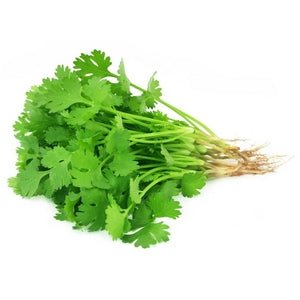 Coriander - Fresh - Chev2Home