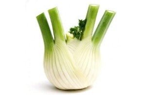 Fennel Bulb - Each - Chev2Home